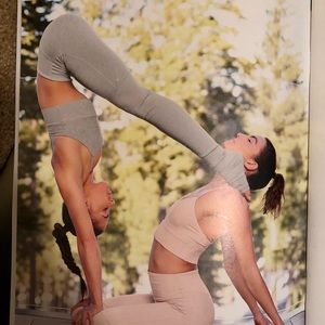 Alo yoga gray leggings